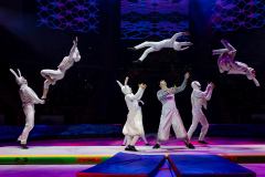 SK_M4619